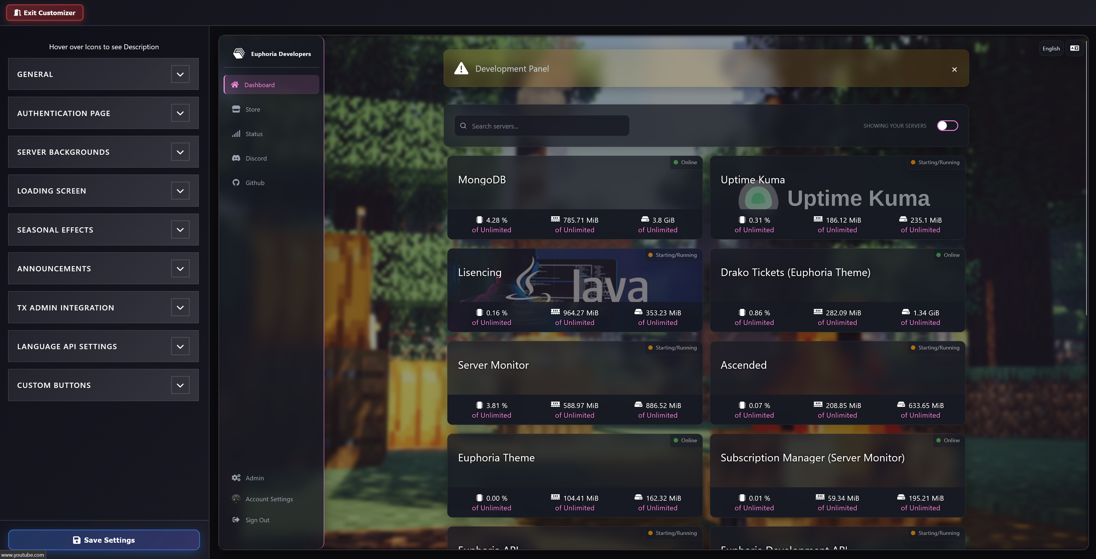 Theme customizer view
